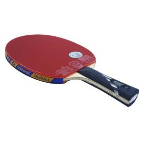 Yinhe NO.10 Carbon Premium Racket